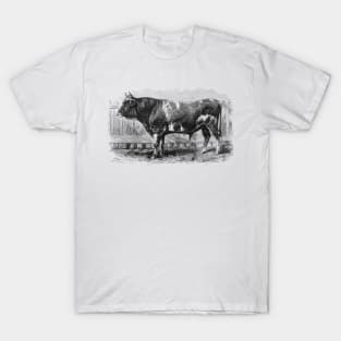 Jersey Bull Black and White Vintage Illustration T-Shirt